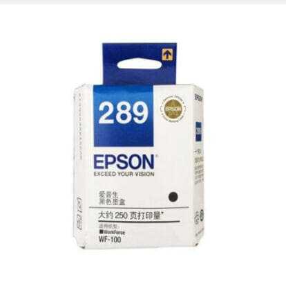 Epson C T289 Black