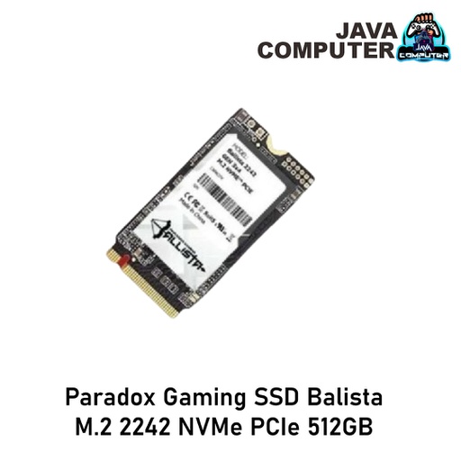 [SSD-0166] Paradox Gaming SSD Balista M.2 2242 NVMe PCIe 512GB